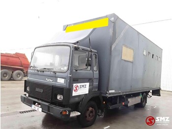 Tovornjak za prevoz živine Iveco Magirus 80 16 horse truck: slika 3