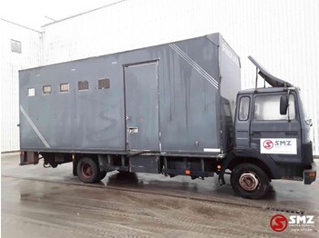 Tovornjak za prevoz živine Iveco Magirus 80 16 horse truck: slika 4