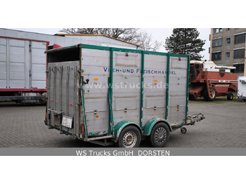 Prikolica za prevoz živine Alf Vollalu Viehanhänger Großvieh: slika 5