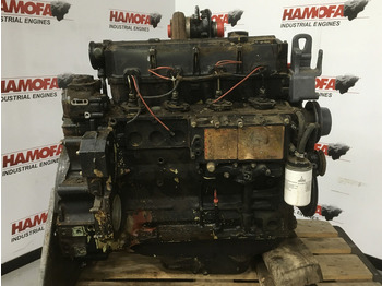 : fotografija v glavi strani