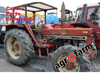 : fotografija v glavi strani