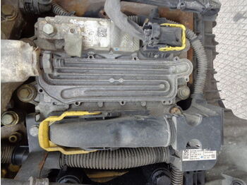 : fotografija v glavi strani