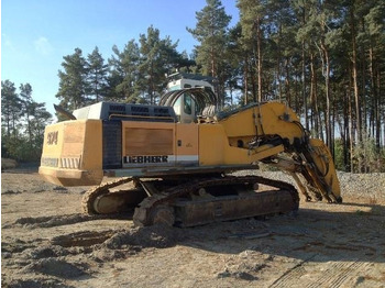 Bager goseničar Liebherr R 974 B HD: slika 2