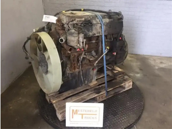 : fotografija v glavi strani