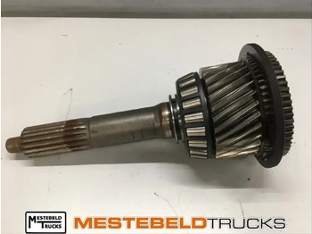 : fotografija v glavi strani