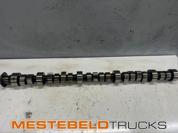 Motor in deli SCANIA