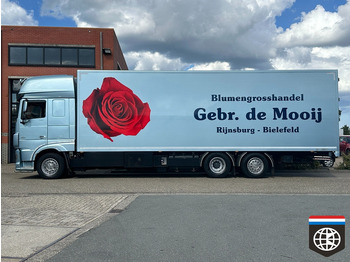 Tovornjak hladilnik DAF XF 460 FAN TRS ICELAND / SMART TACHO 2 /FLOWERS / RACE / HORSE: slika 3