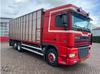 Tovornjak za prevoz živine DAF XF FAR 95XF.380 EURO 2: slika 3