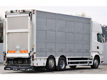 Tovornjak za prevoz živine Scania R 500 TIERTRANSPORTWAGEN 7,10m / 4STOCK: slika 5