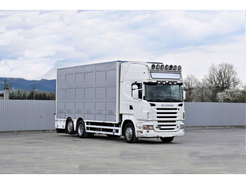 Tovornjak za prevoz živine Scania R 500 TIERTRANSPORTWAGEN 7,10m / 4STOCK: slika 2