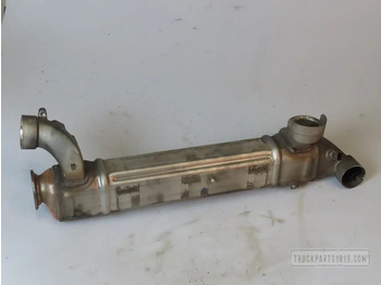 EGR hladilnik DAF