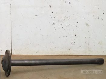 : fotografija v glavi strani