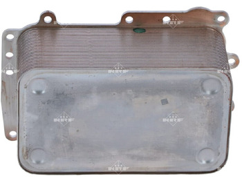 : fotografija v glavi strani