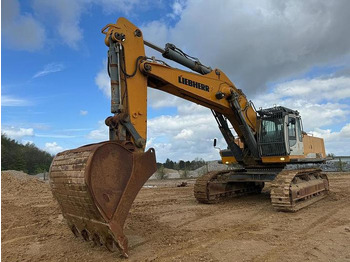 Bager Liebherr R964C Litronic -: slika 2