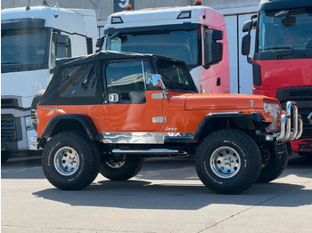 SUV Jeep Wrangler  * V8 UMBAU * OLDTIMER * TOP *: slika 4