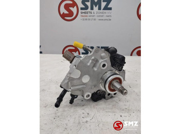 : fotografija v glavi strani