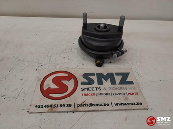 : fotografija v glavi strani