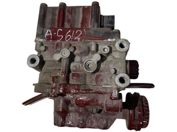 : fotografija v glavi strani