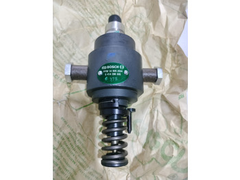 : fotografija v glavi strani