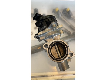 : fotografija v glavi strani