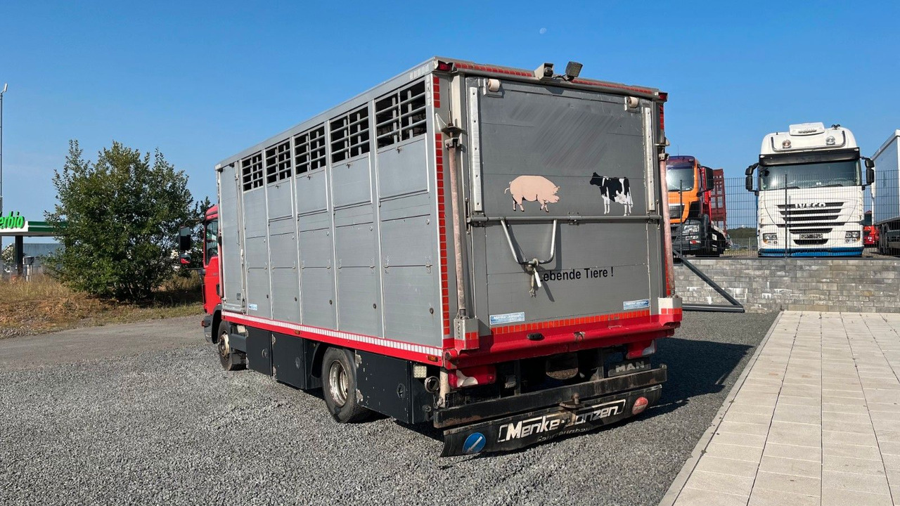 MAN TGL 10.220 Viehtransporter Rampe Trennwände - Tovornjak za prevoz konj: slika 5 MAN TGL 10.220 Viehtransporter Rampe Trennwände - Tovornjak za prevoz konj: slika 5