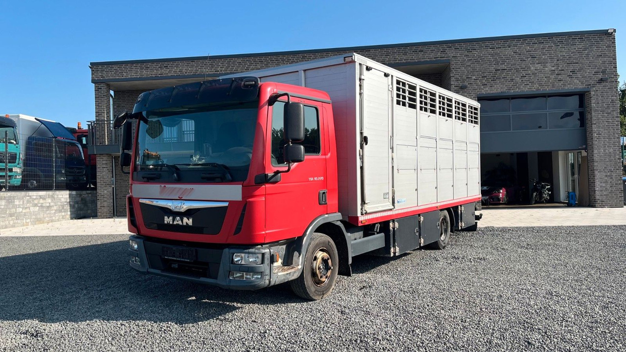 MAN TGL 10.220 Viehtransporter Rampe Trennwände - Tovornjak za prevoz konj: slika 2 MAN TGL 10.220 Viehtransporter Rampe Trennwände - Tovornjak za prevoz konj: slika 2