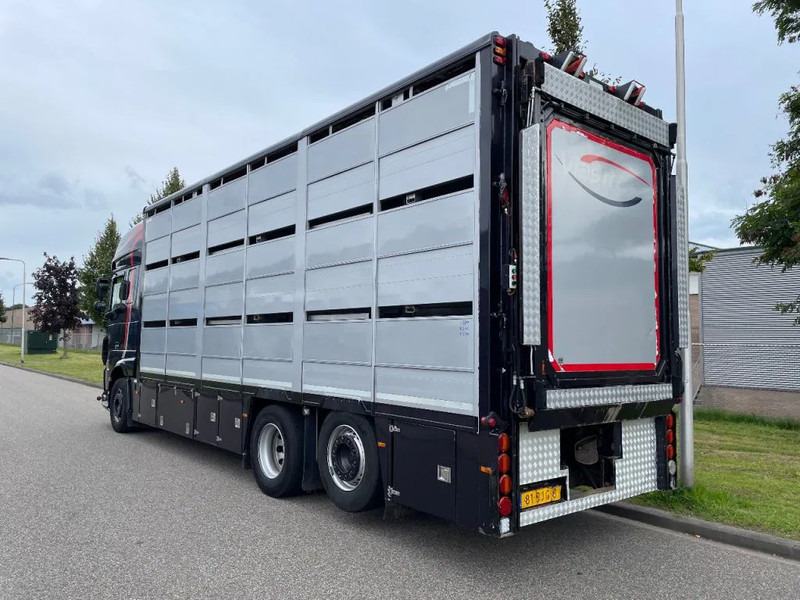 DAF XF 460 2017 berdex 3 lagen varkens - Tovornjak za prevoz živine: slika 2 DAF XF 460 2017 berdex 3 lagen varkens - Tovornjak za prevoz živine: slika 2