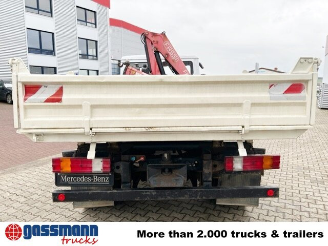 Tovornjak prekucnik, Tovornjak z dvigalom Mercedes-Benz 811 K 4x2 mit Kran Fassi F65A.21 (BJ.2009): slika 12