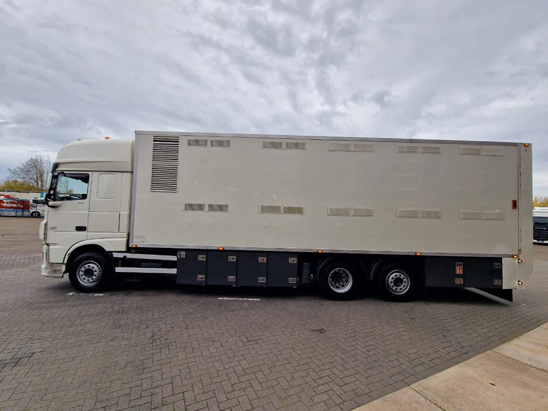 DAF XF 440 SuperSpaceCab 6x2*4 - 2 deck Closed Livestock - 40M2 - Filtersystem - Tovornjak za prevoz živine: slika 4 DAF XF 440 SuperSpaceCab 6x2*4 - 2 deck Closed Livestock - 40M2 - Filtersystem - Tovornjak za prevoz živine: slika 4