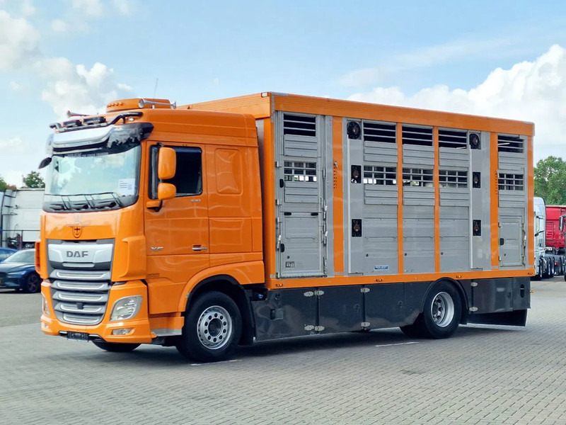 DAF XF 530 4x2 - Livestock Menke 2 deck water & ventilation - Tovornjak za prevoz živine: slika 5 DAF XF 530 4x2 - Livestock Menke 2 deck water & ventilation - Tovornjak za prevoz živine: slika 5