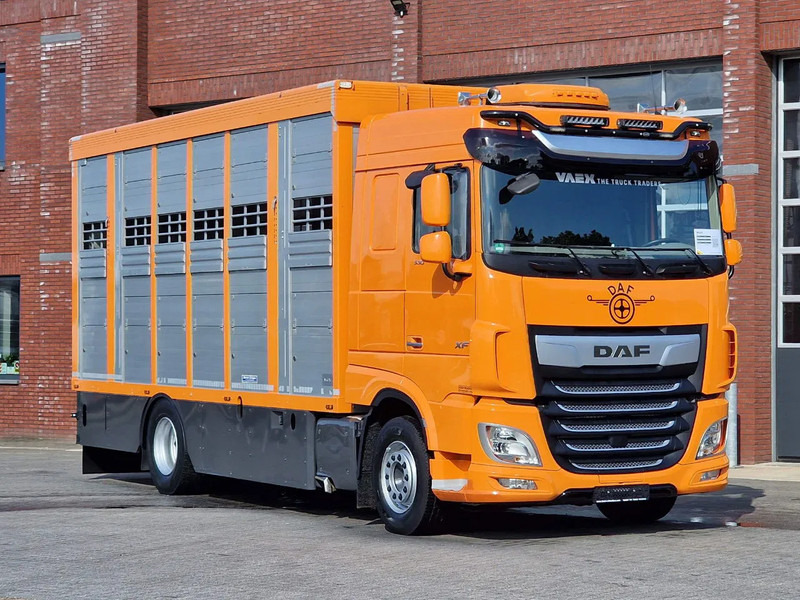 DAF XF 530 4x2 - Livestock Menke 2 deck water & ventilation - Tovornjak za prevoz živine: slika 3 DAF XF 530 4x2 - Livestock Menke 2 deck water & ventilation - Tovornjak za prevoz živine: slika 3