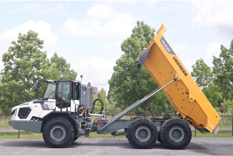 Liebherr TA230 | TAILGATE | GOOD CONDITION - Zglobni demper: slika 1 Liebherr TA230 | TAILGATE | GOOD CONDITION - Zglobni demper: slika 1