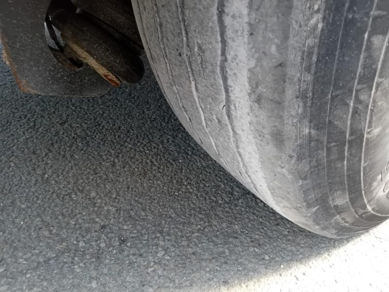 Kiper polprikolica Benalu: slika 6