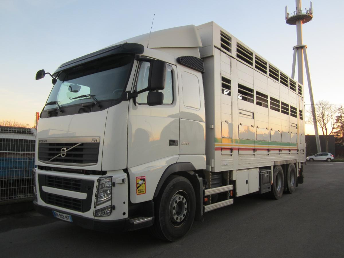 Volvo FH 460 - Tovornjak za prevoz živine: slika 1 Volvo FH 460 - Tovornjak za prevoz živine: slika 1