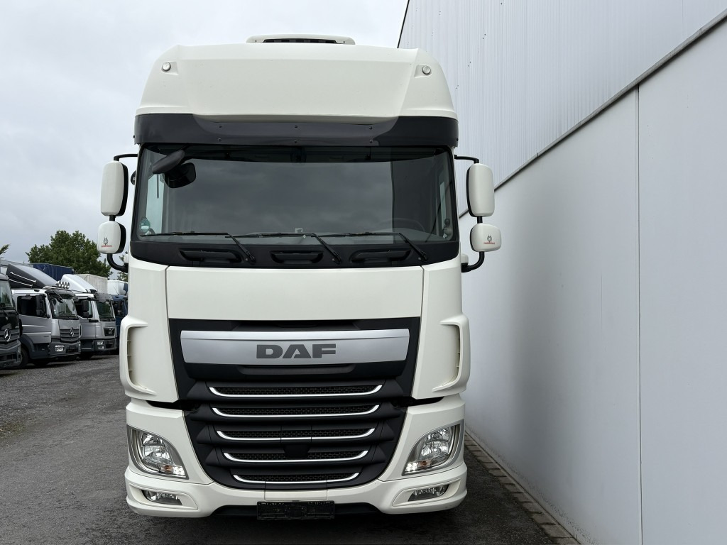 DAF XF 460 FAN 6x2 Lenkachse, Standklima Intarder, SDG - höhenverstellbar - Kontejnerski tovornjak/ Tovornjak z zamenljivim tovoriščem: slika 5 DAF XF 460 FAN 6x2 Lenkachse, Standklima Intarder, SDG - höhenverstellbar - Kontejnerski tovornjak/ Tovornjak z zamenljivim tovoriščem: slika 5