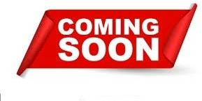 MAN TGS 18.320 4x4 Winterdienst Wechselsystem - Tovornjak-šasija: slika 3 MAN TGS 18.320 4x4 Winterdienst Wechselsystem - Tovornjak-šasija: slika 3