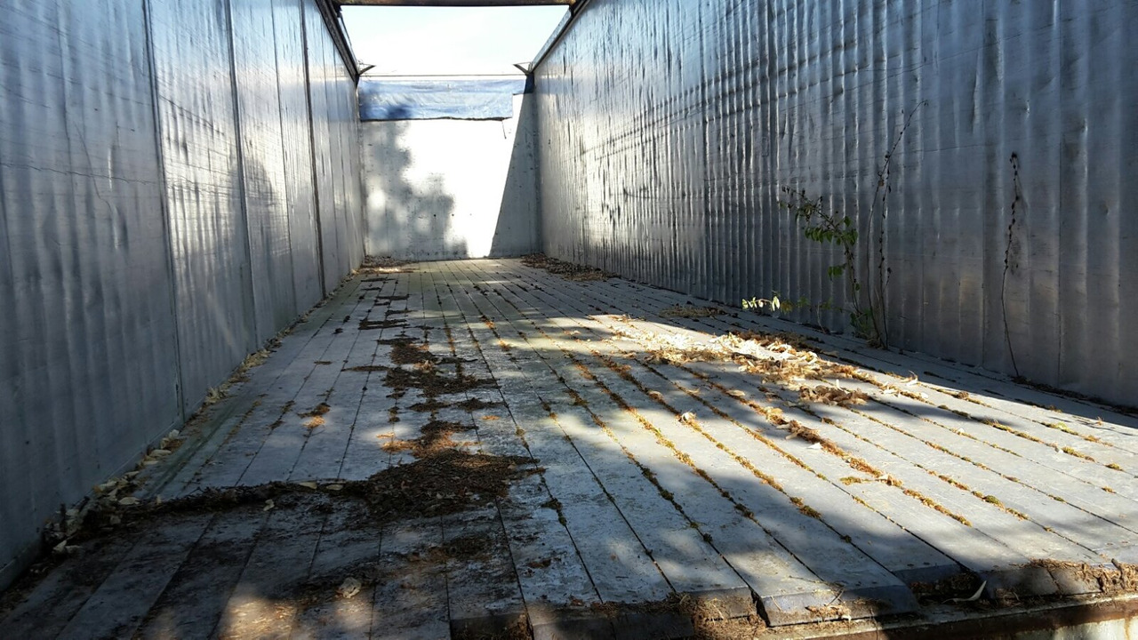 Reisch RSBS-35/24 PV RSBS-35/24 PV Walkingfloor ca. 86m³, Alu - Tovorna pohodna polprikolica: slika 2 Reisch RSBS-35/24 PV RSBS-35/24 PV Walkingfloor ca. 86m³, Alu - Tovorna pohodna polprikolica: slika 2