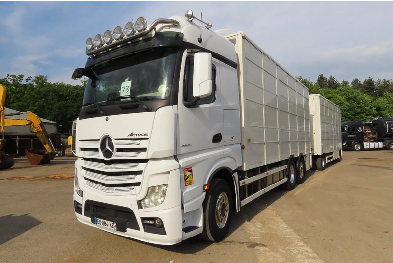 Mercedes-Benz Actros 2551 BERDEX 3 decks, All options + Berdex 12/ 2007 - Tovornjak za prevoz živine: slika 3 Mercedes-Benz Actros 2551 BERDEX 3 decks, All options + Berdex 12/ 2007 - Tovornjak za prevoz živine: slika 3