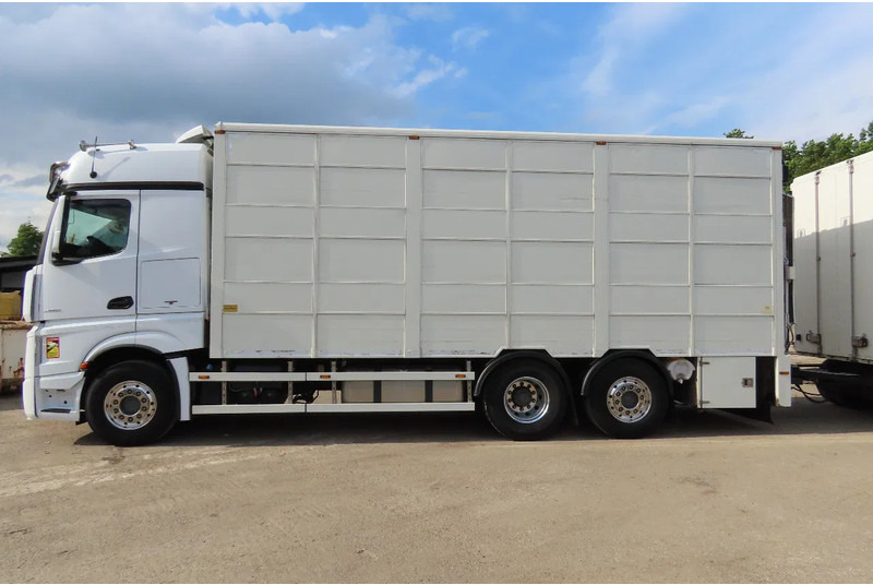Mercedes-Benz Actros 2551 BERDEX 3 decks, All options + Berdex 12/ 2007 - Tovornjak za prevoz živine: slika 4 Mercedes-Benz Actros 2551 BERDEX 3 decks, All options + Berdex 12/ 2007 - Tovornjak za prevoz živine: slika 4