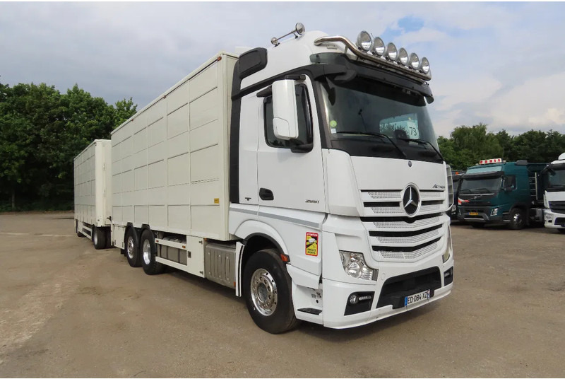 Mercedes-Benz Actros 2551 BERDEX 3 decks, All options + Berdex 12/ 2007 - Tovornjak za prevoz živine: slika 1 Mercedes-Benz Actros 2551 BERDEX 3 decks, All options + Berdex 12/ 2007 - Tovornjak za prevoz živine: slika 1