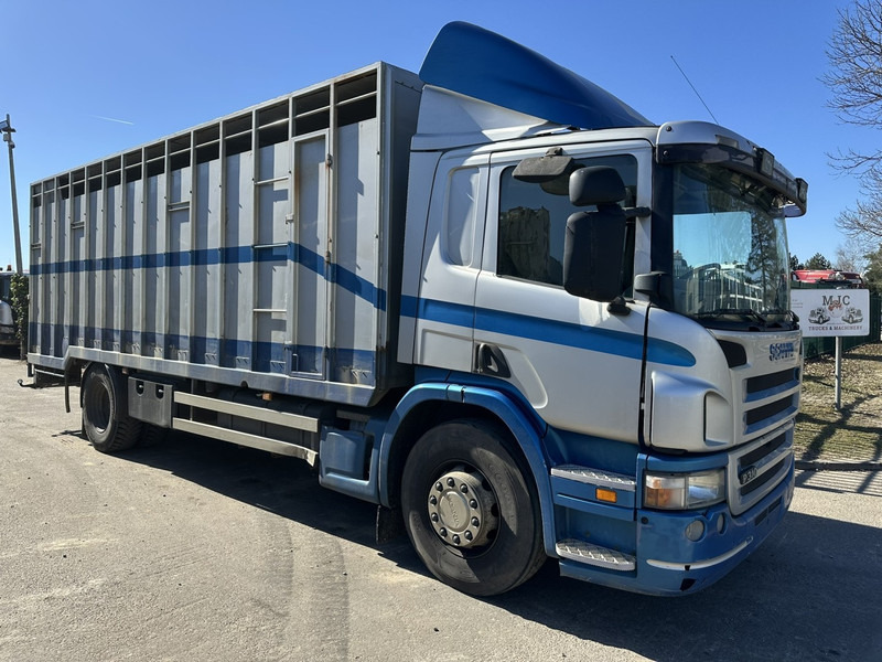 Scania P310 4x2 ANIMAL TRANSPORT - ALU BOX 7m - MANUAL - AIR SUSPENSION - A/C - BELGIAN TRUCK - Tovornjak za prevoz živine: slika 1 Scania P310 4x2 ANIMAL TRANSPORT - ALU BOX 7m - MANUAL - AIR SUSPENSION - A/C - BELGIAN TRUCK - Tovornjak za prevoz živine: slika 1