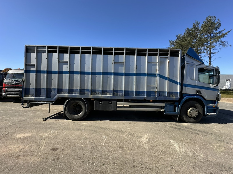 Scania P310 4x2 ANIMAL TRANSPORT - ALU BOX 7m - MANUAL - AIR SUSPENSION - A/C - BELGIAN TRUCK - Tovornjak za prevoz živine: slika 3 Scania P310 4x2 ANIMAL TRANSPORT - ALU BOX 7m - MANUAL - AIR SUSPENSION - A/C - BELGIAN TRUCK - Tovornjak za prevoz živine: slika 3