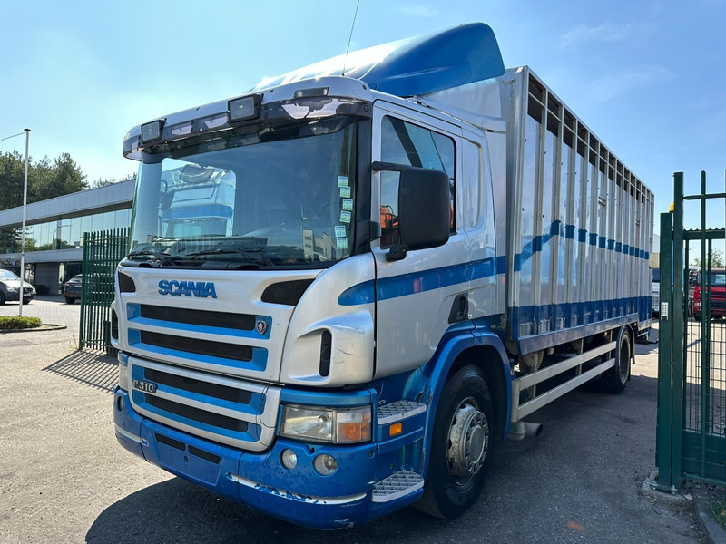 Scania P310 4x2 LIVESTOCK / VEEWAGEN / TIERTRANSPORT / BETAILLERE - ALU BOX 7m - MANUAL - A/C - BELGIAN TRUCK - Tovornjak za prevoz živine: slika 3 Scania P310 4x2 LIVESTOCK / VEEWAGEN / TIERTRANSPORT / BETAILLERE - ALU BOX 7m - MANUAL - A/C - BELGIAN TRUCK - Tovornjak za prevoz živine: slika 3