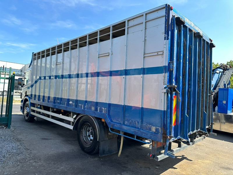 Tovornjak za prevoz živine Scania P310 4x2 LIVESTOCK / VEEWAGEN / TIERTRANSPORT / BETAILLERE - ALU BOX 7m - MANUAL - A/C - BELGIAN TRUCK: slika 7