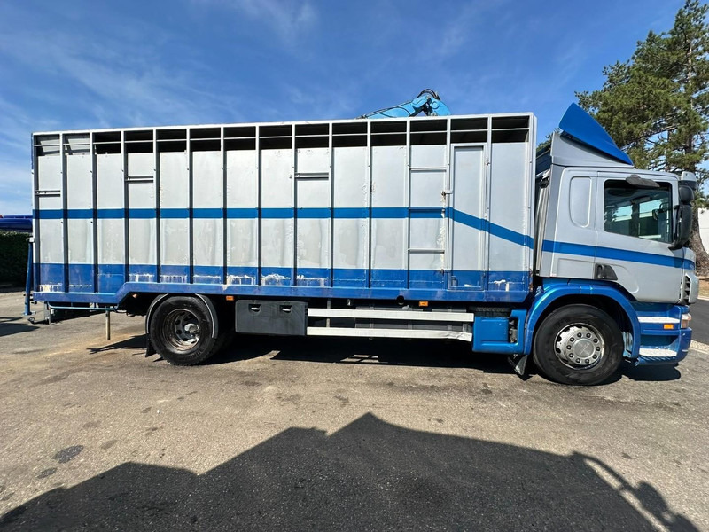 Scania P310 4x2 LIVESTOCK / VEEWAGEN / TIERTRANSPORT / BETAILLERE - ALU BOX 7m - MANUAL - A/C - BELGIAN TRUCK - Tovornjak za prevoz živine: slika 4 Scania P310 4x2 LIVESTOCK / VEEWAGEN / TIERTRANSPORT / BETAILLERE - ALU BOX 7m - MANUAL - A/C - BELGIAN TRUCK - Tovornjak za prevoz živine: slika 4
