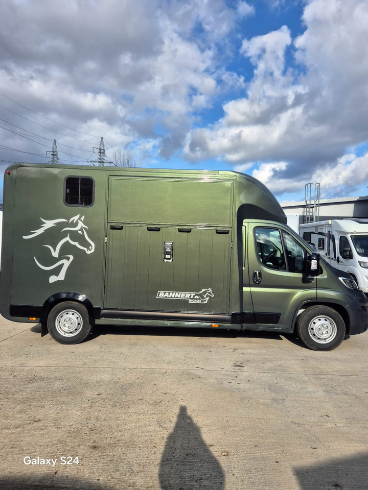 Opel Bannert Koniowoz / Horse Truck / In Stock - Tovornjak za prevoz konj: slika 4 Opel Bannert Koniowoz / Horse Truck / In Stock - Tovornjak za prevoz konj: slika 4