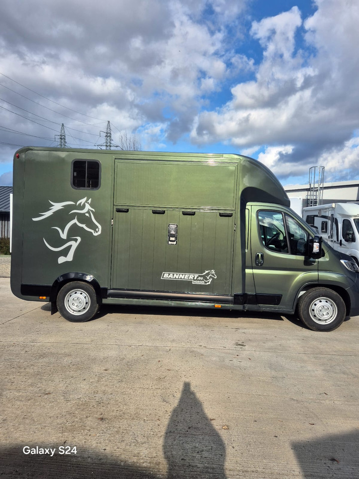 Opel Bannert Koniowoz / Horse Truck / In Stock - Tovornjak za prevoz konj: slika 5 Opel Bannert Koniowoz / Horse Truck / In Stock - Tovornjak za prevoz konj: slika 5