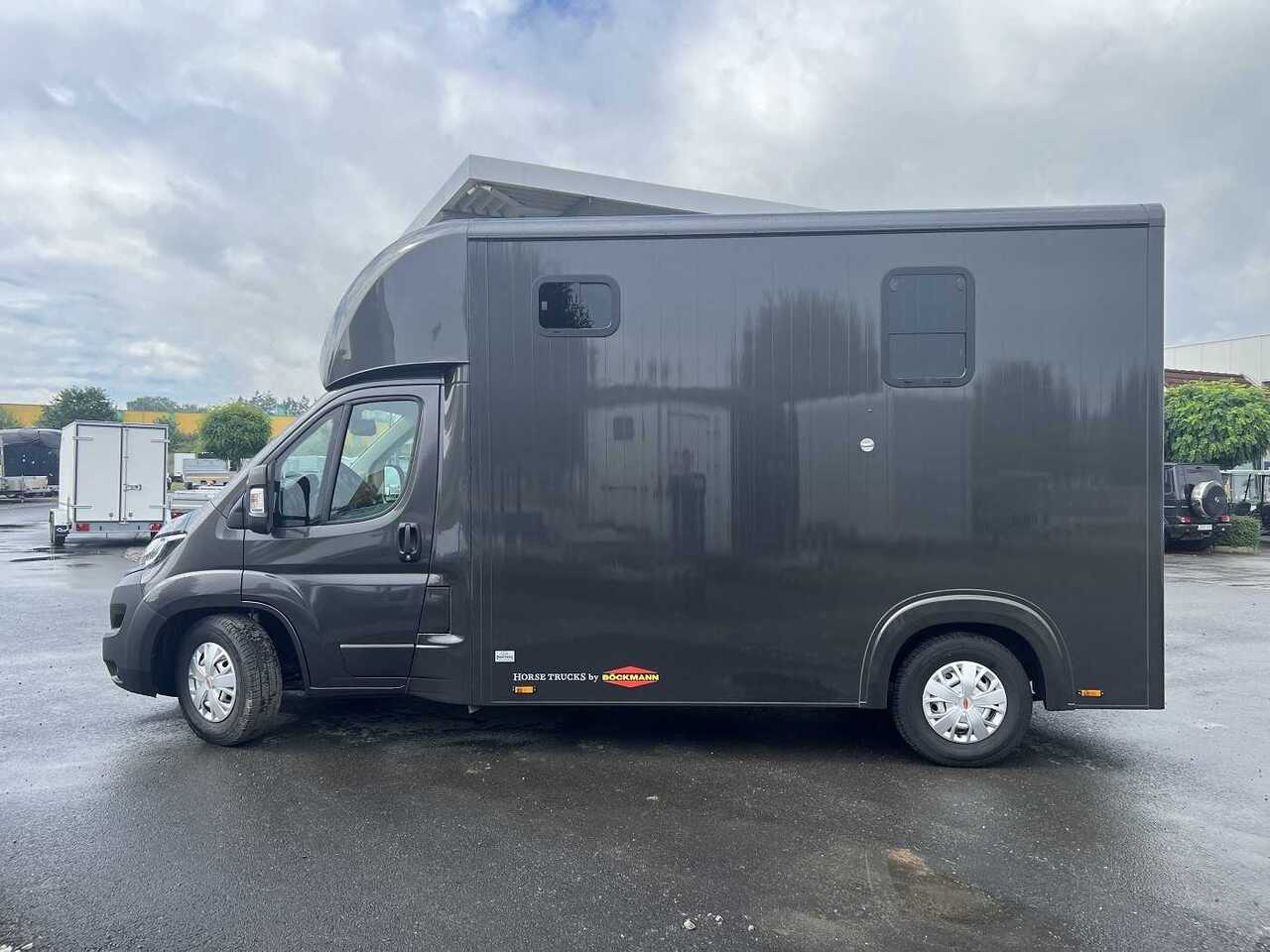 Fiat Böckmann Compact Basic LKW - Tovornjak za prevoz konj: slika 5 Fiat Böckmann Compact Basic LKW - Tovornjak za prevoz konj: slika 5