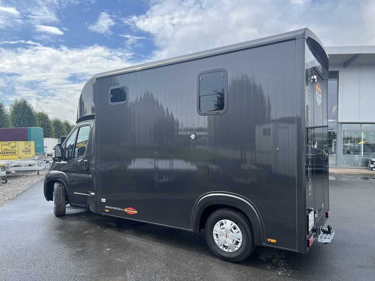 Fiat Böckmann Compact Basic LKW - Tovornjak za prevoz konj: slika 4 Fiat Böckmann Compact Basic LKW - Tovornjak za prevoz konj: slika 4