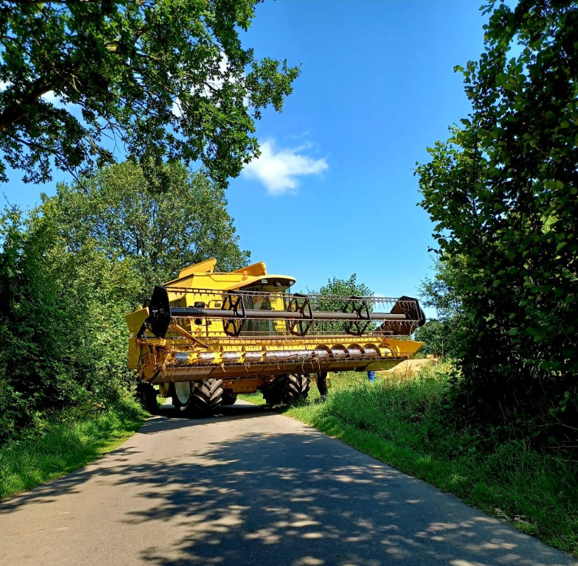 New Holland TX 68 Plus - Kombajn harvester: slika 1 New Holland TX 68 Plus - Kombajn harvester: slika 1